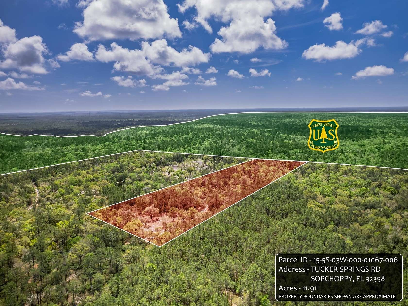 12 Acres of Recreational & Residential Land for Sale in Sopchoppy, Florida