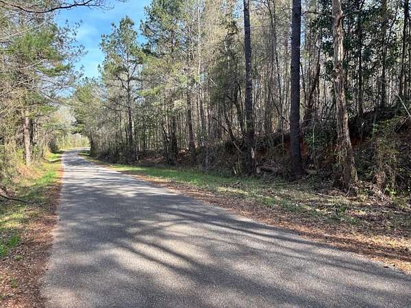 96.9 Acres of Recreational & Residential Land for Sale in Quitman, Mississippi