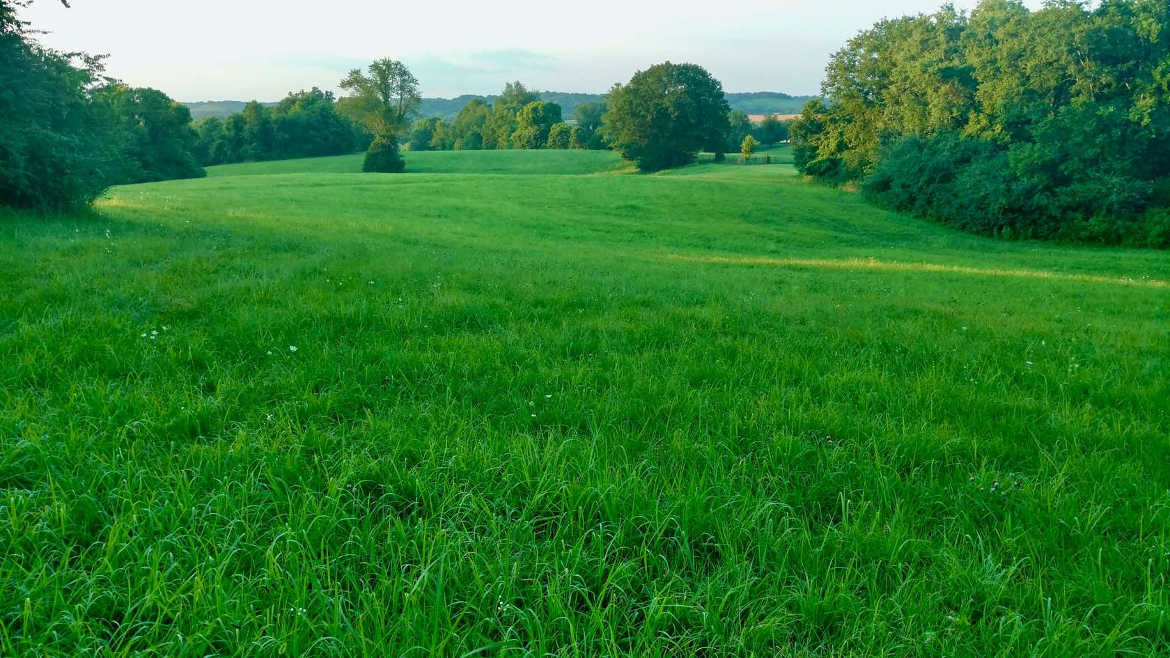 22 Acres of Land for Sale in Pulaski, Tennessee