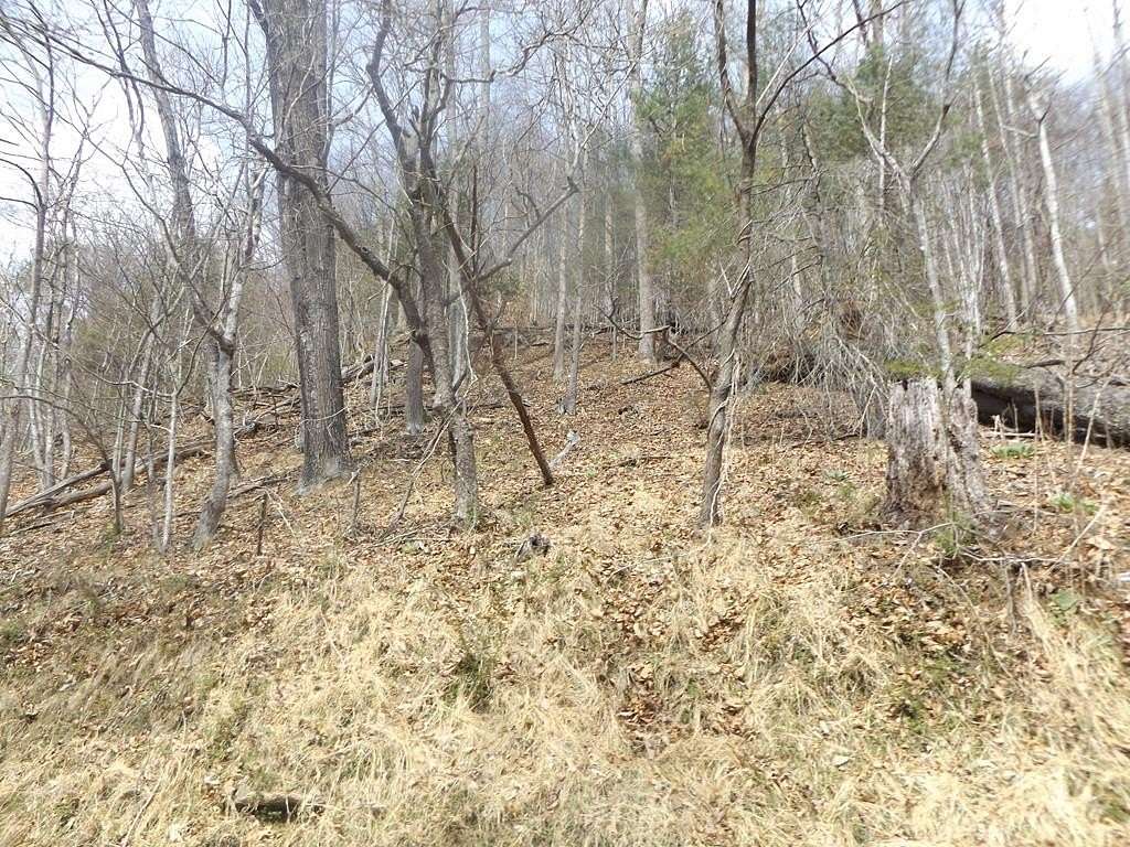 21.7 Acres of Recreational & Residential Land for Sale in Galax, Virginia