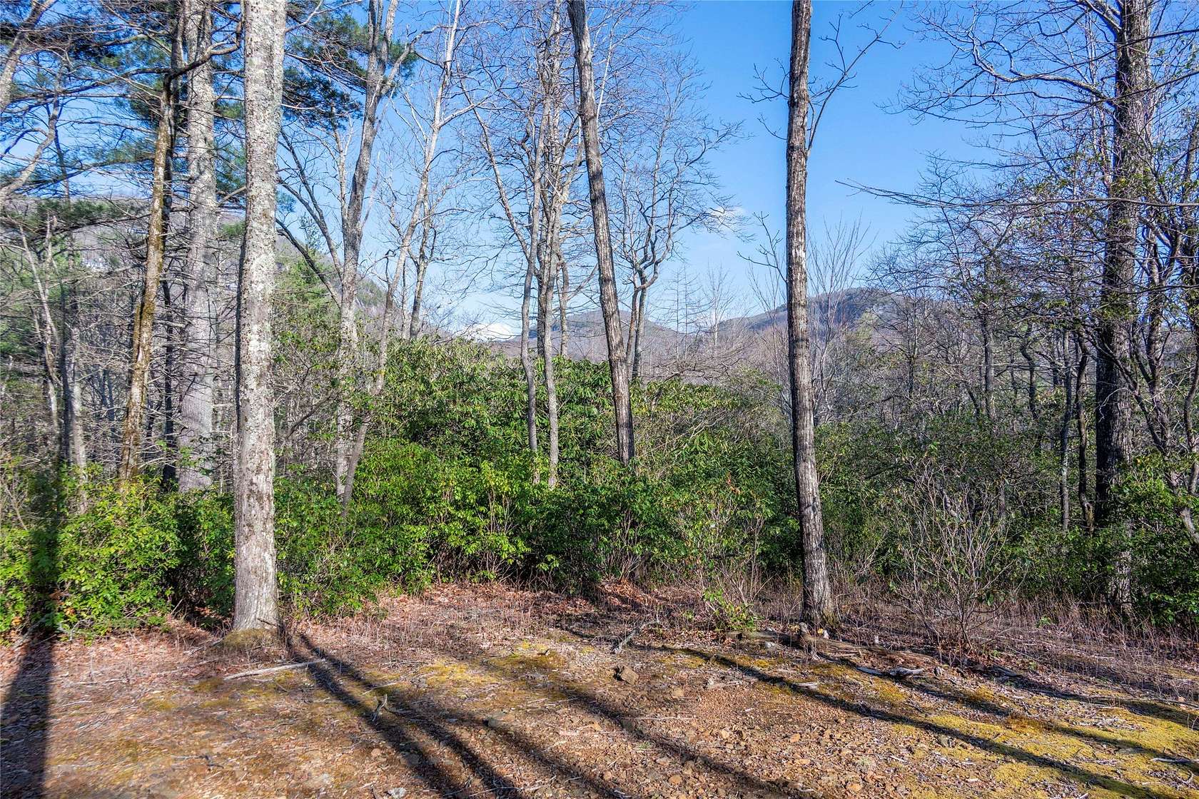 10.8 Acres of Land for Sale in Lake Toxaway, North Carolina