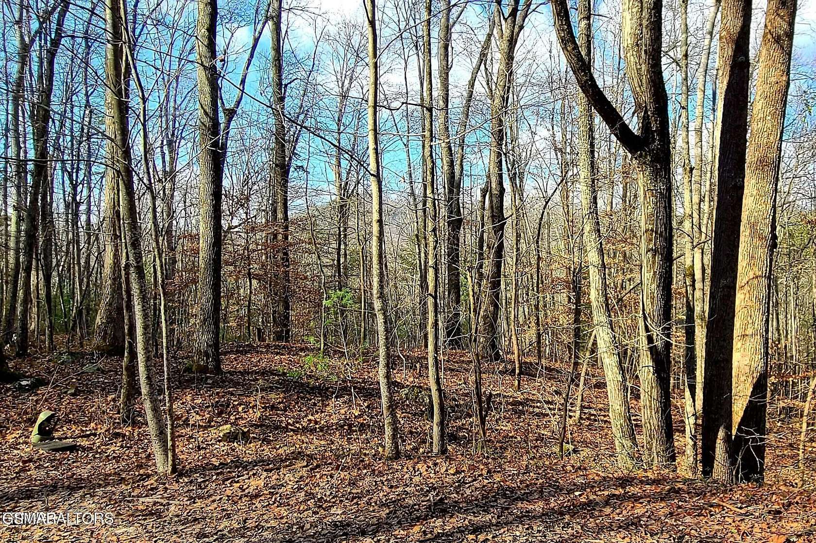0.96 Acres of Residential Land for Sale in Sevierville, Tennessee