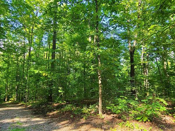 0.96 Acres of Residential Land for Sale in Sevierville, Tennessee