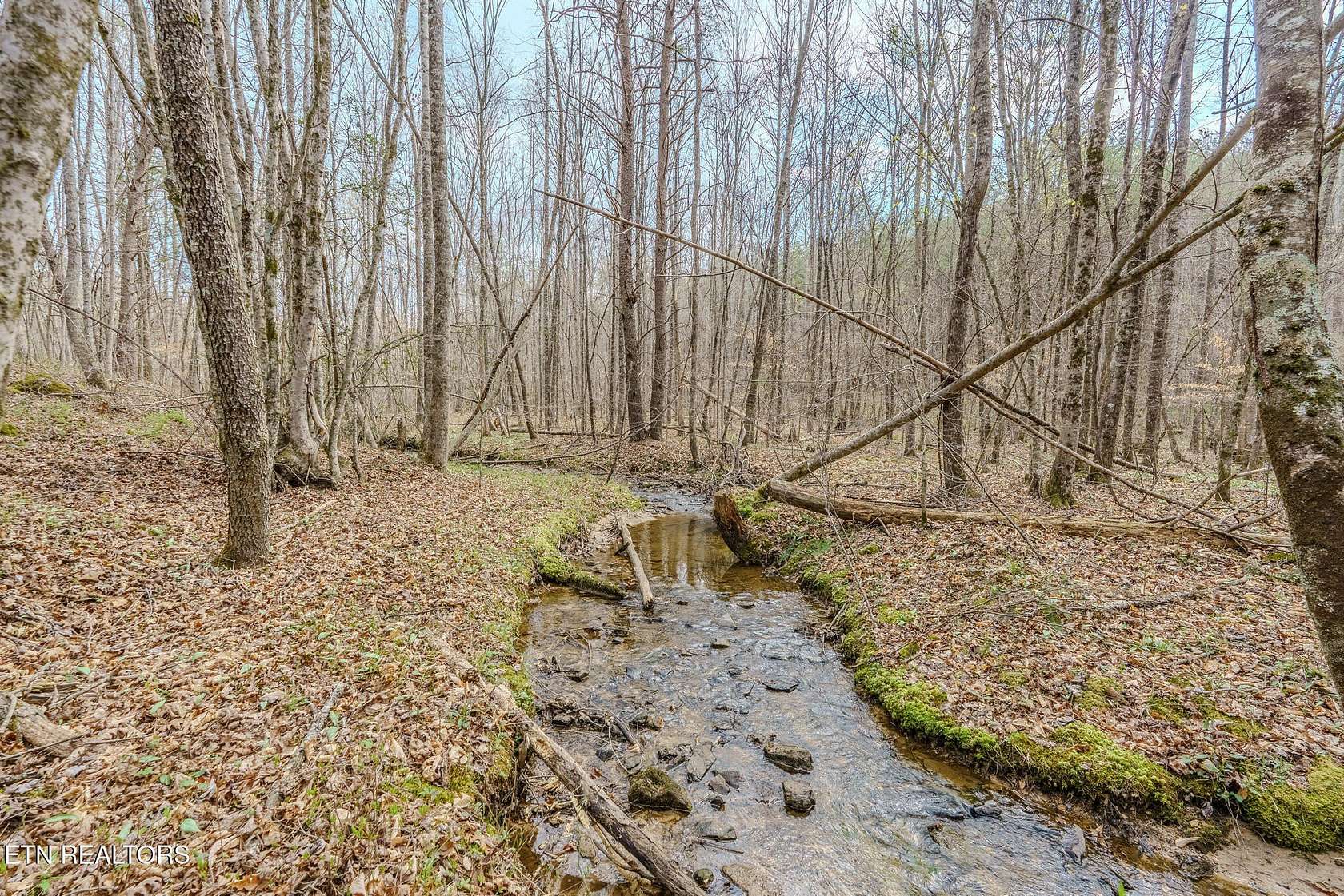 16.8 Acres of Land for Sale in Bean Station, Tennessee