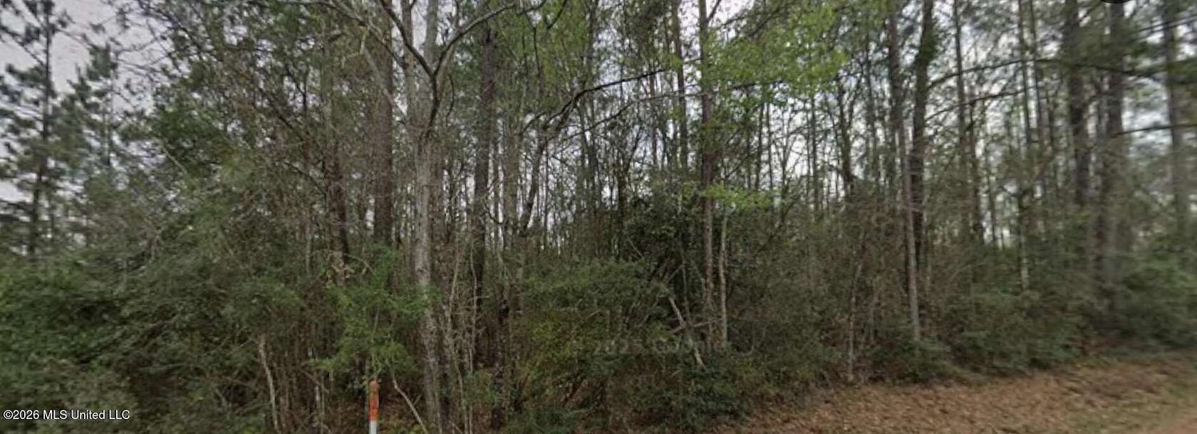 25 Acres of Recreational & Residential Land for Sale in Lucedale, Mississippi