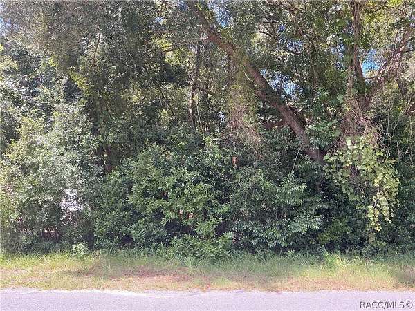 0.22 Acres of Residential Land for Sale in Inverness, Florida