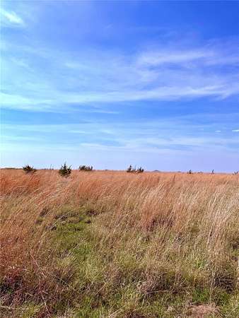 20 Acres of Land for Sale in Goldthwaite, Texas