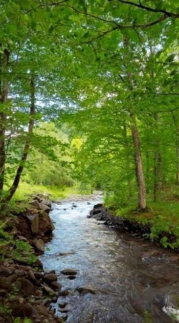 15.2 Acres of Recreational Land for Sale in Troutdale, Virginia