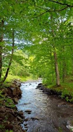 15.2 Acres of Recreational Land for Sale in Troutdale, Virginia