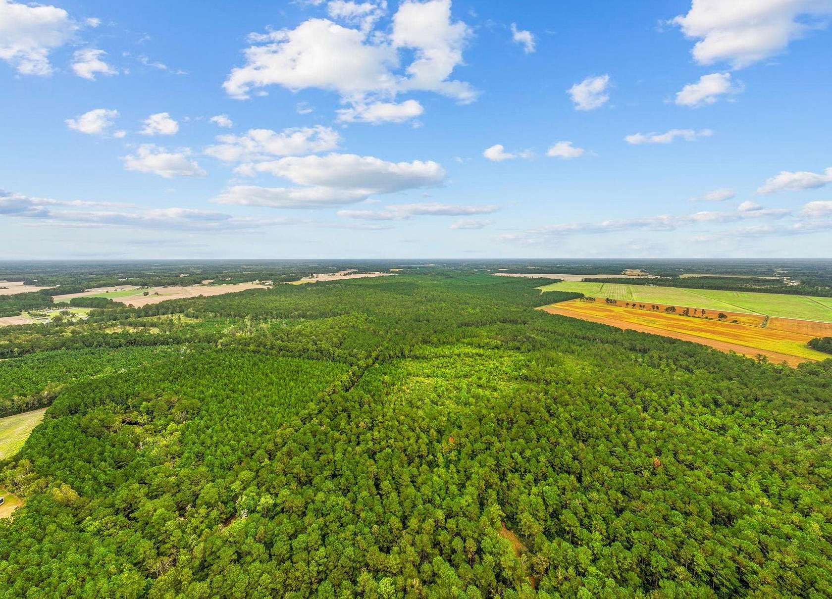 200 Acres of Recreational & Residential Land for Sale in Loris, South Carolina