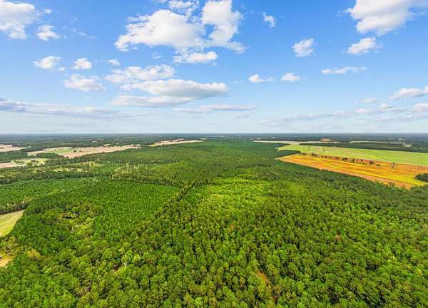 200 Acres of Recreational & Residential Land for Sale in Loris, South Carolina