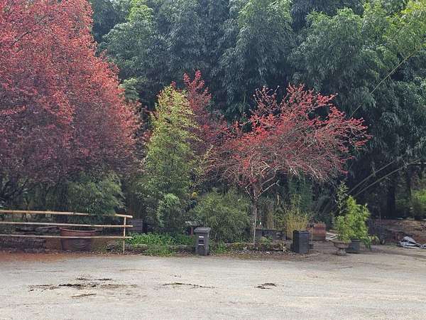 30.3 Acres of Land with Home for Sale in Aptos, California