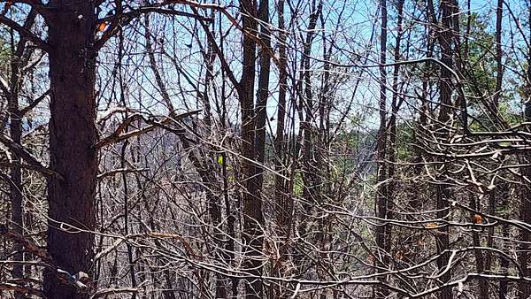 3 Acres of Residential Land for Auction in Landrum, South Carolina