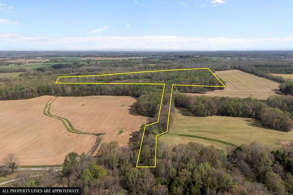 59 Acres of Recreational Land for Sale in Henry, Tennessee