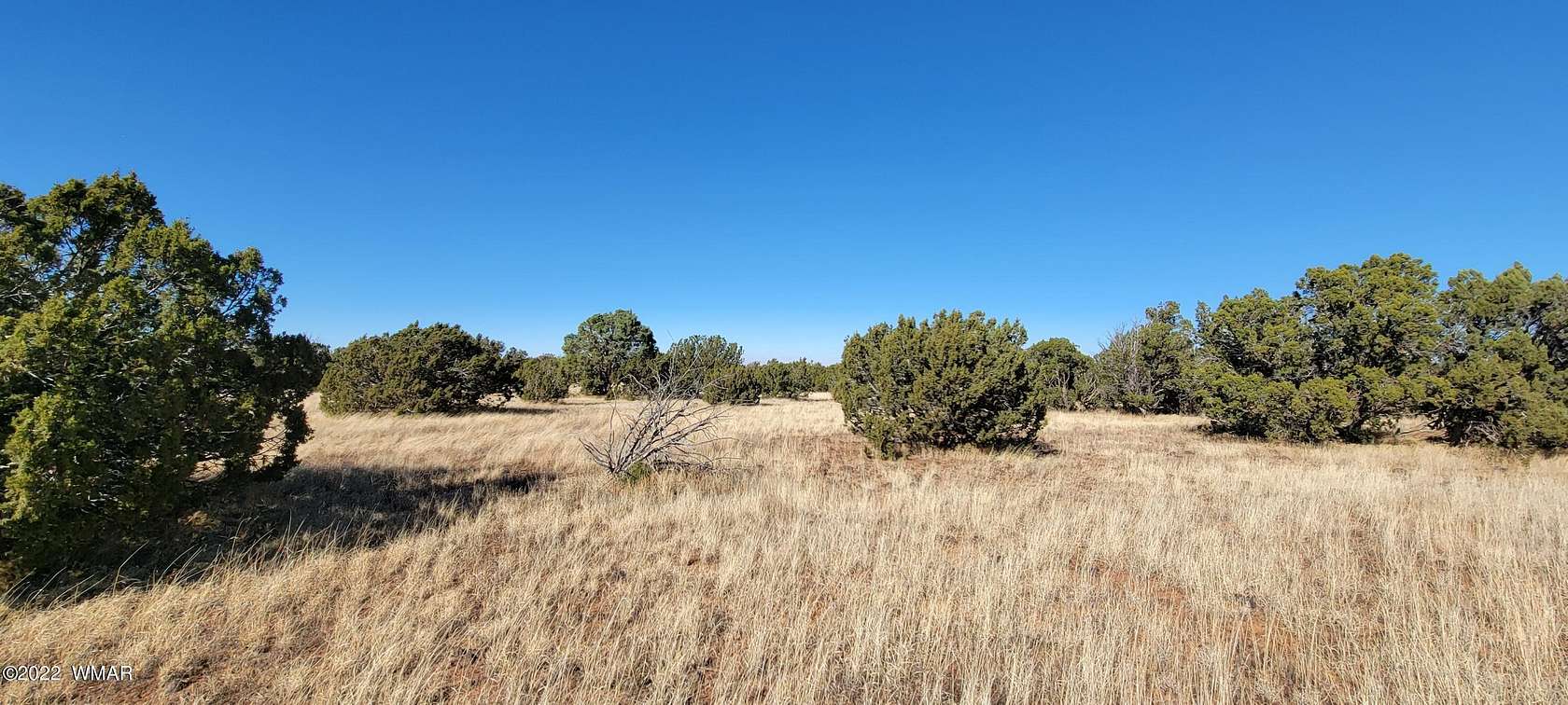 41 Acres of Recreational Land for Sale in Show Low, Arizona