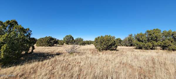 41 Acres of Recreational Land for Sale in Show Low, Arizona