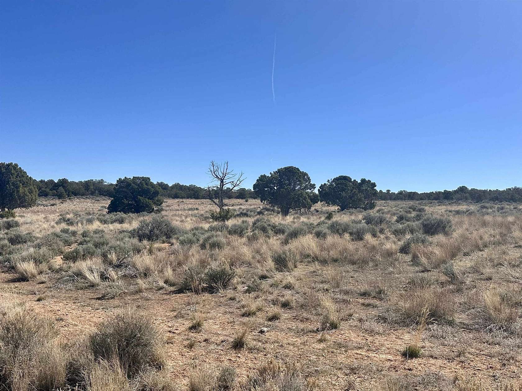 40 Acres of Land for Sale in Glade Park, Colorado