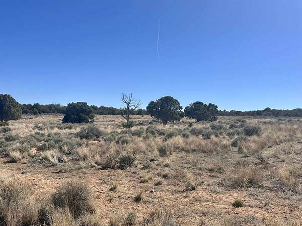 40 Acres of Land for Sale in Glade Park, Colorado