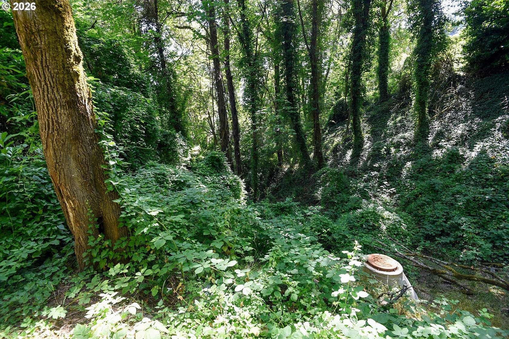0.11 Acres of Residential Land for Sale in Portland, Oregon