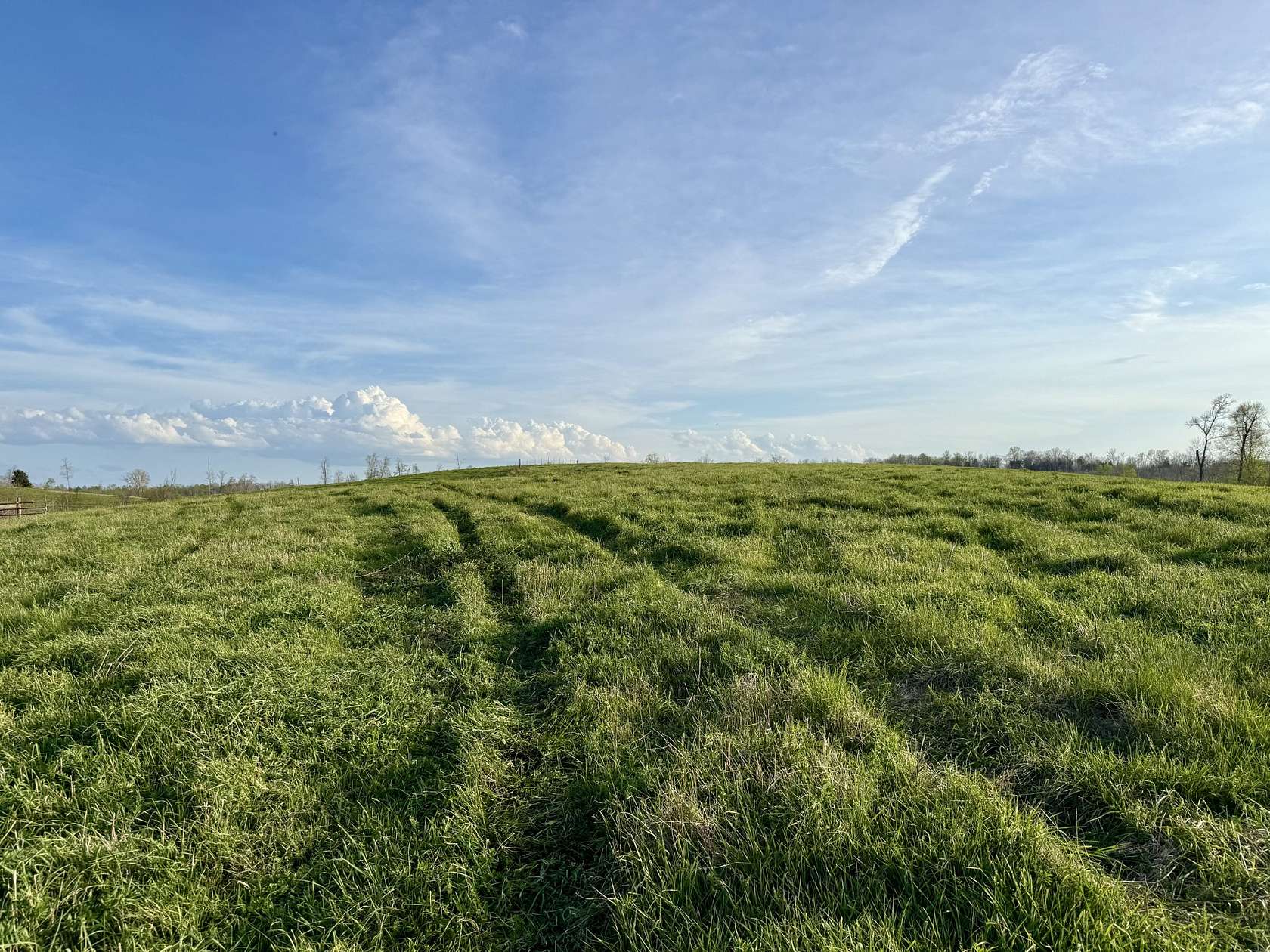 19.2 Acres of Land for Sale in Erin, Tennessee