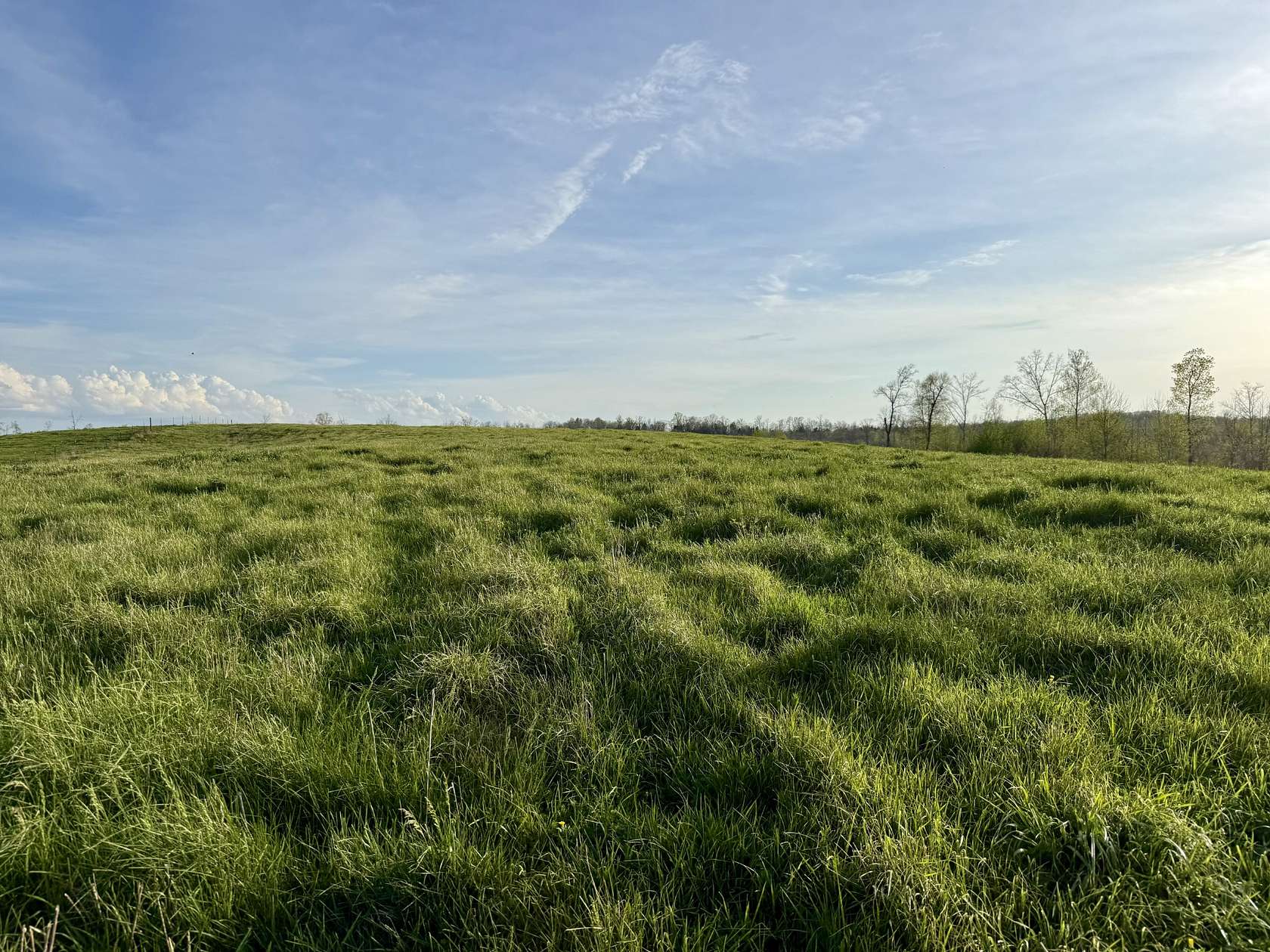 19.2 Acres of Land for Sale in Erin, Tennessee