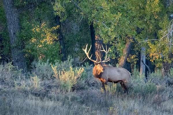 30 Acres of Agricultural Land with Home for Sale in Bonner, Montana