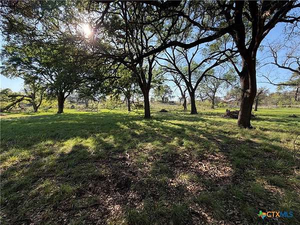 5 Acres of Residential Land for Sale in Oglesby, Texas
