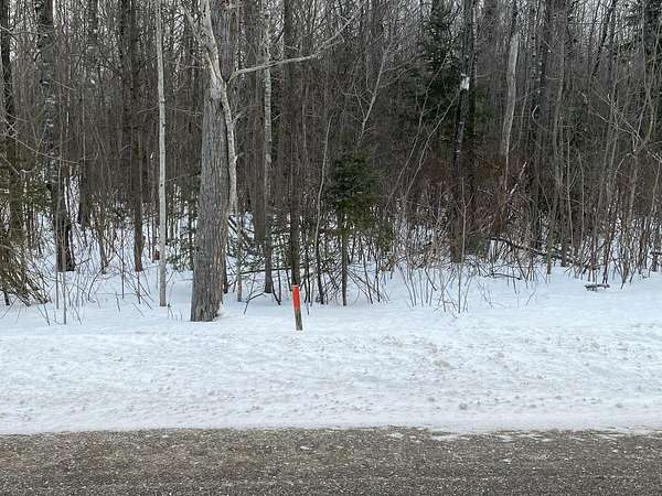 2.5 Acres of Mixed-Use Land for Sale in Mackinaw City, Michigan