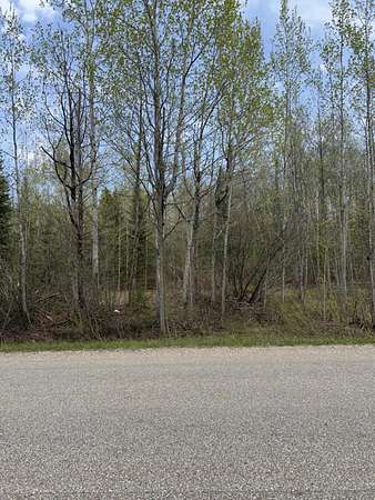 2.5 Acres of Mixed-Use Land for Sale in Mackinaw City, Michigan