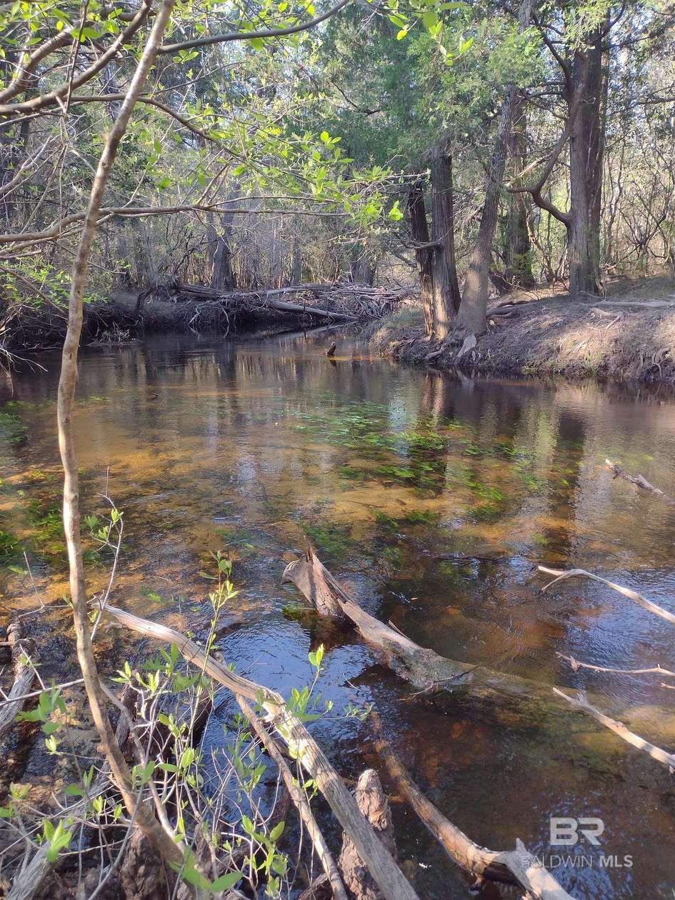 163 Acres of Recreational Land for Sale in Bay Minette, Alabama