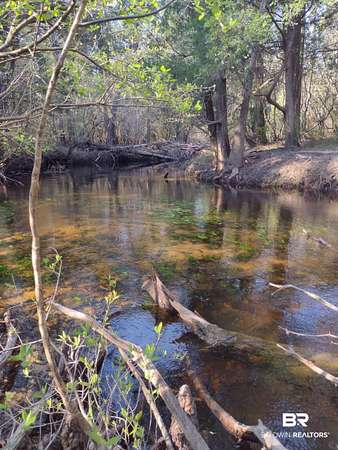 163 Acres of Recreational Land for Sale in Bay Minette, Alabama
