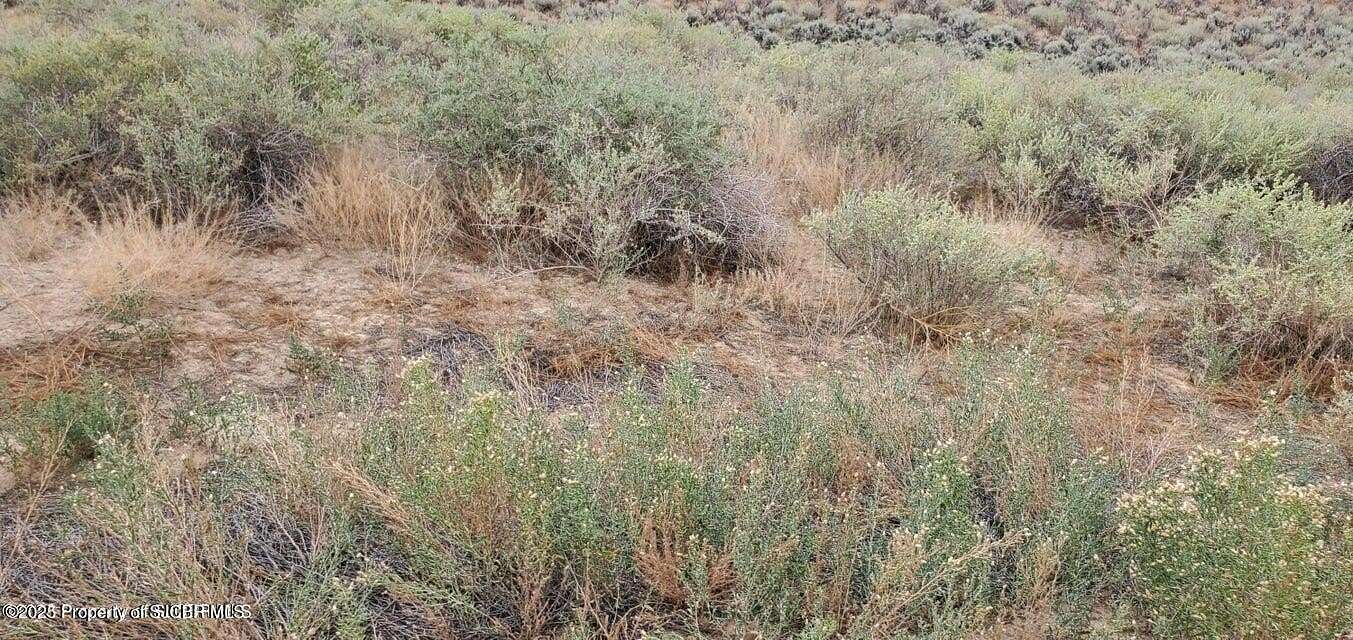 1 Acre of Land for Sale in La Plata, New Mexico