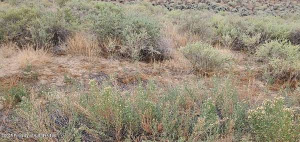 1 Acre of Residential Land for Sale in La Plata, New Mexico