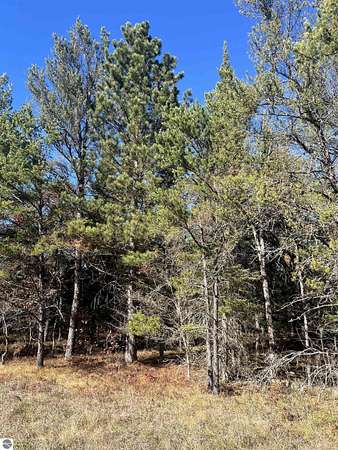 0.21 Acres of Land for Sale in Grayling, Michigan