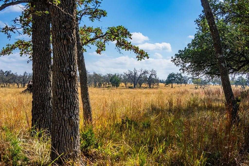 6.3 Acres of Residential Land for Sale in Harper, Texas