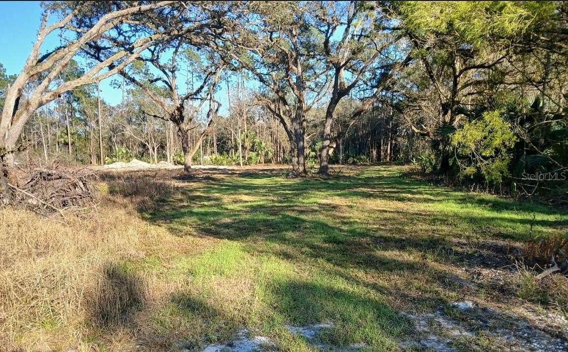 1 Acre of Land for Sale in Christmas, Florida