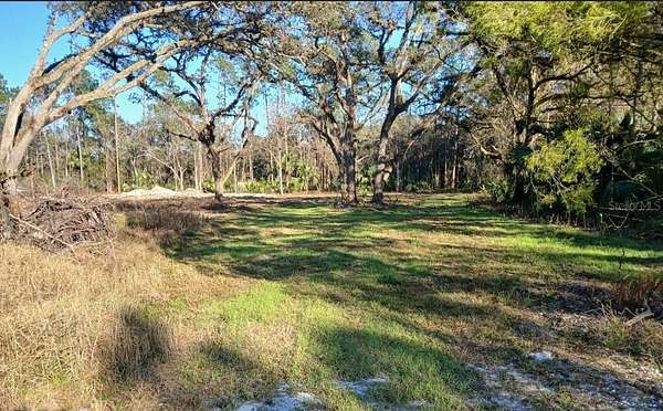 1 Acre of Land for Sale in Christmas, Florida