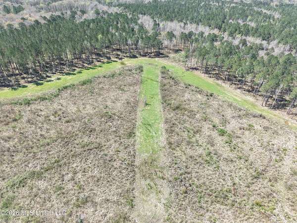 285 Acres of Recreational Land for Sale in Meadville, Mississippi