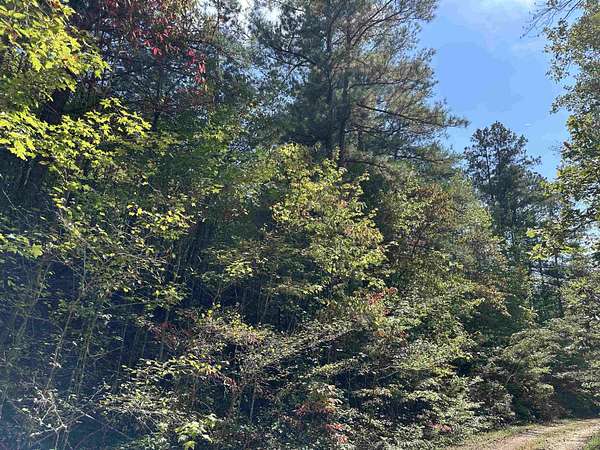 9.9 Acres of Residential Land for Sale in Double Springs, Alabama