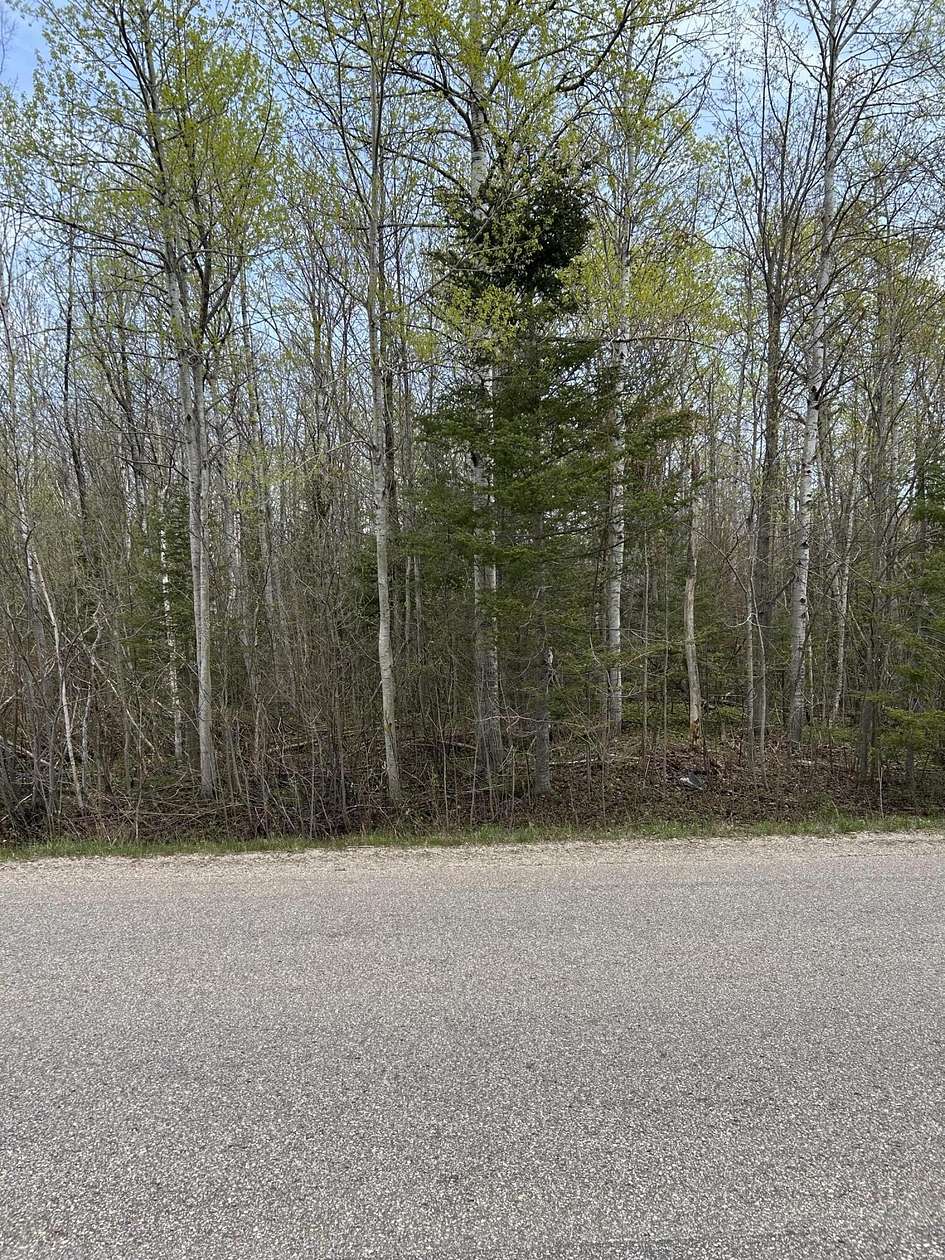 2.5 Acres of Mixed-Use Land for Sale in Mackinaw City, Michigan