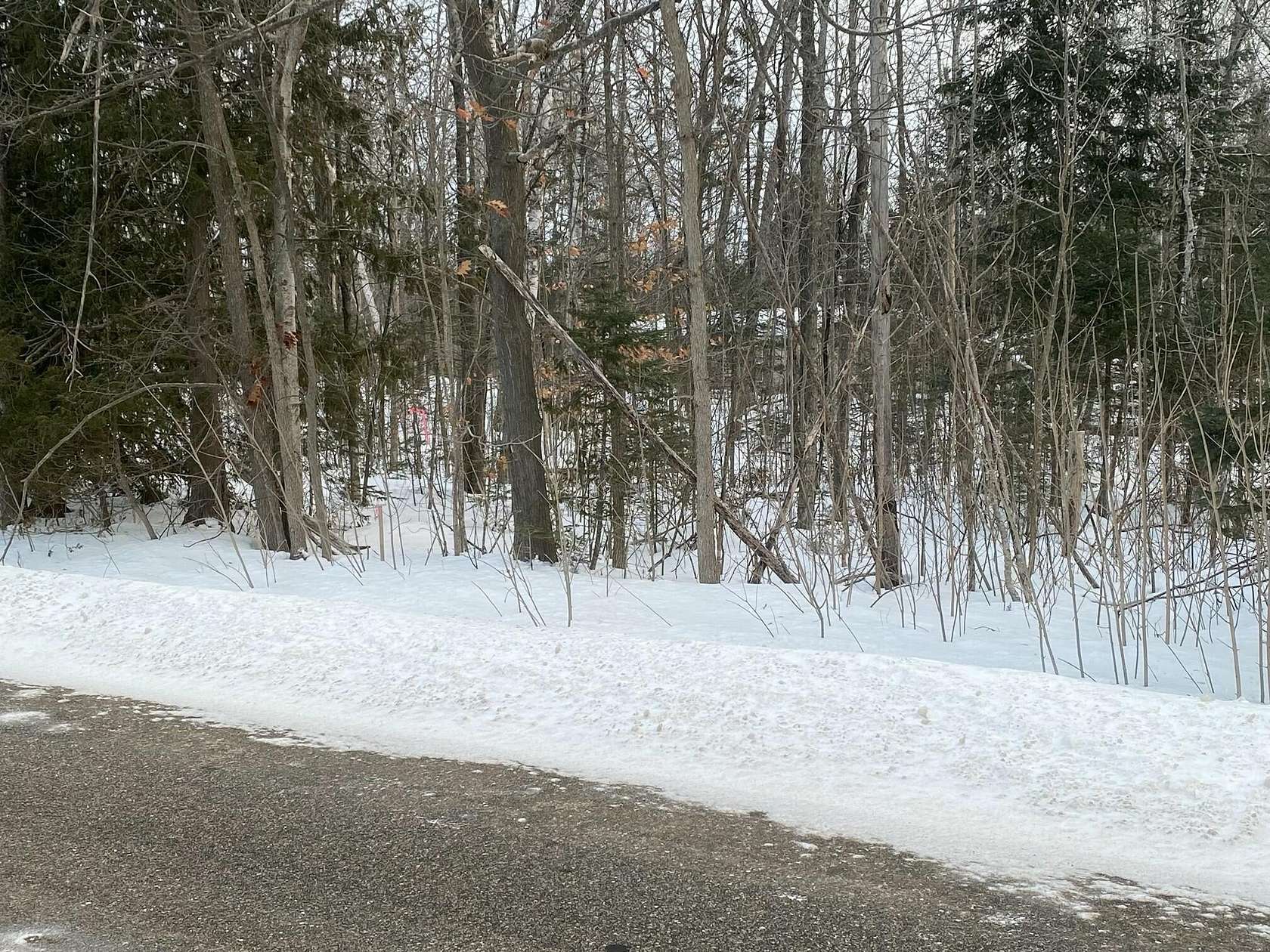 2.5 Acres of Mixed-Use Land for Sale in Mackinaw City, Michigan