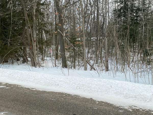 2.5 Acres of Mixed-Use Land for Sale in Mackinaw City, Michigan