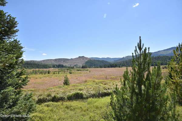 22.3 Acres of Land for Sale in Fernwood, Idaho