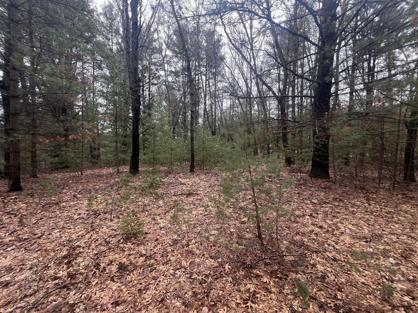 0.87 Acres of Residential Land for Sale in White Cloud, Michigan