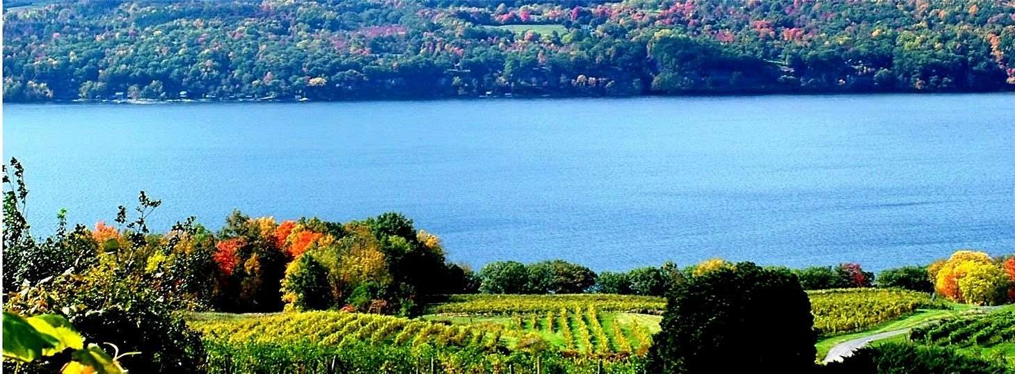 117 Acres of Improved Mixed-Use Land for Sale in Burdett, New York