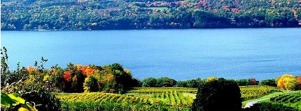 117 Acres of Improved Mixed-Use Land for Sale in Burdett, New York