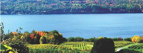 112 Acres of Improved Land for Sale in Burdett, New York
