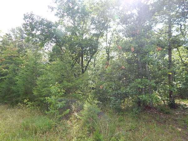 13.4 Acres of Land for Sale in Altamont, Tennessee