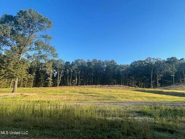 2.73 Acres of Residential Land for Sale in Hernando, Mississippi