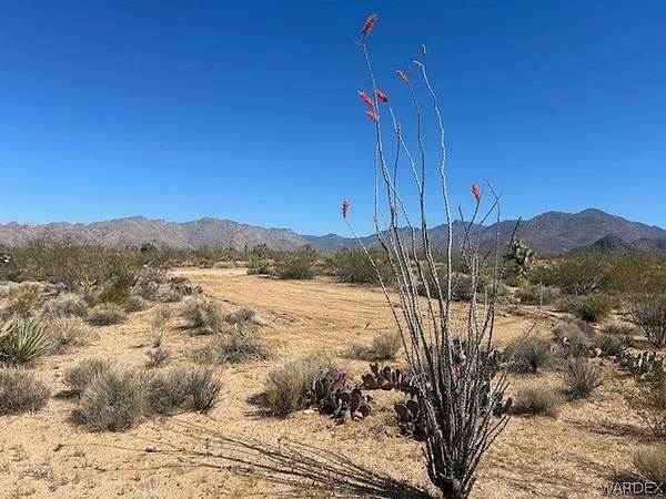 1 Acre of Residential Land for Sale in Yucca, Arizona